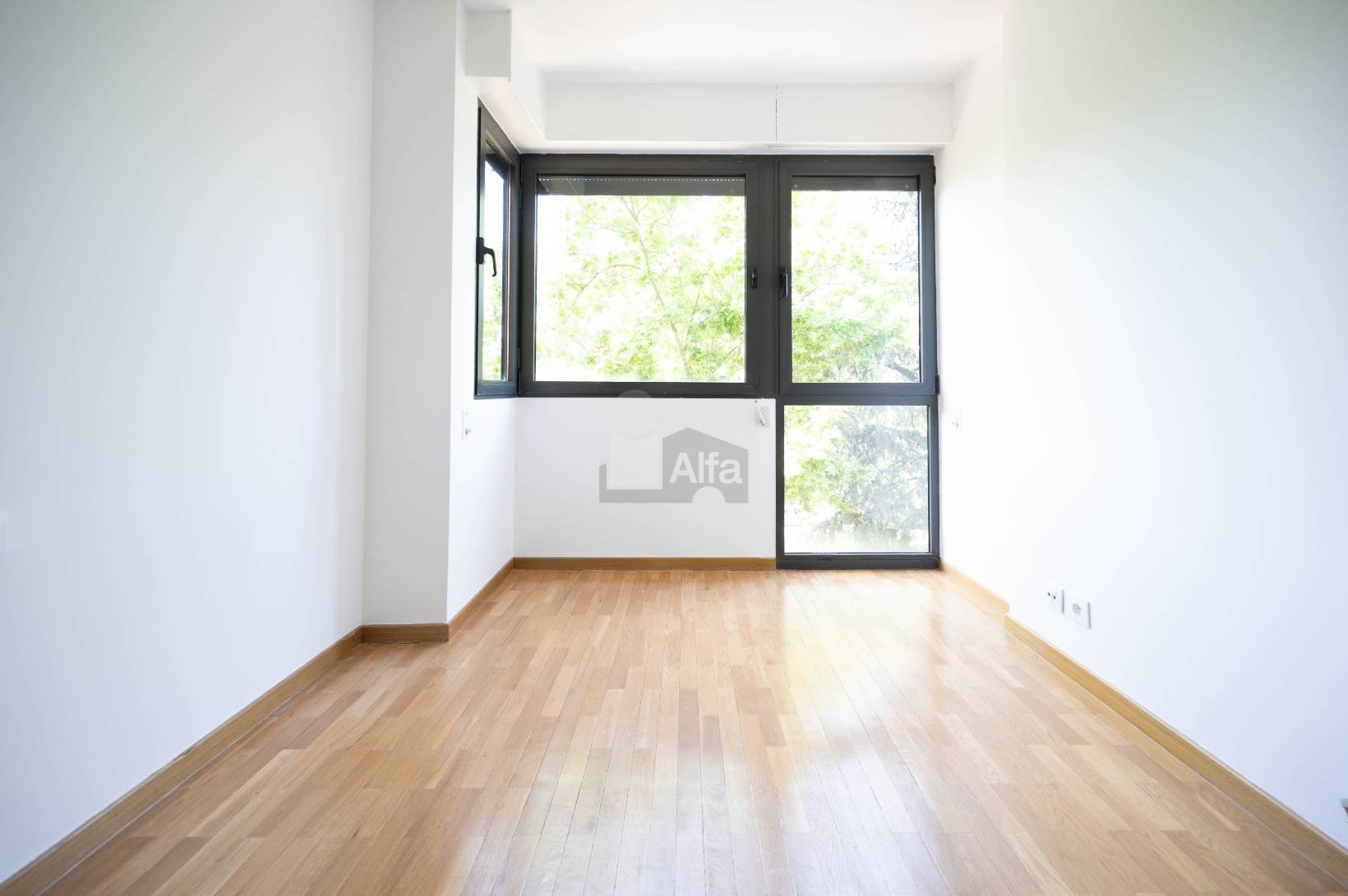 Piso en alquiler en Madrid 20/45