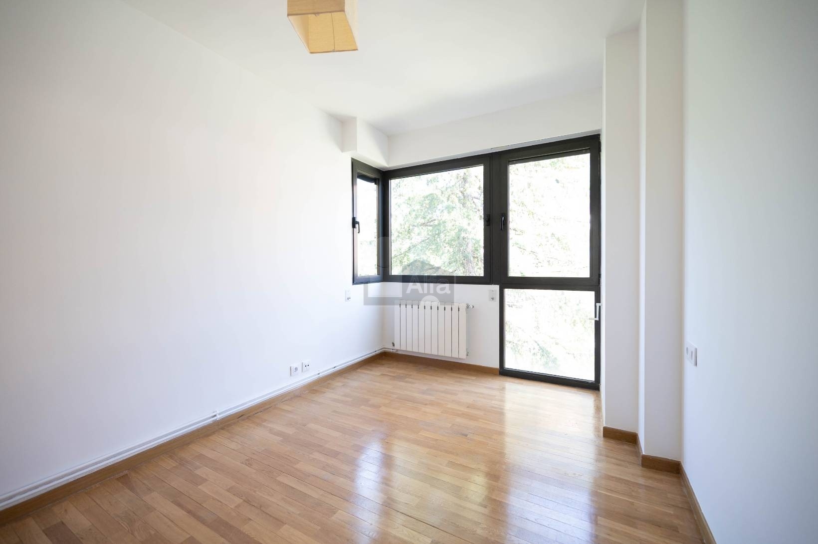 Piso en alquiler en Madrid 36/45